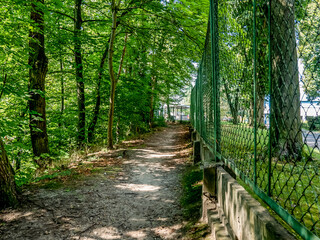 Fototapeta na wymiar Wydeptana ścieżka idąca w środku lasu wokół drzew zielone otoczenie ciemny klimatyczny lasek