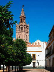 Naklejka premium Panoramic view of the Giralda of Seville from th Patio de Banderas.