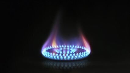 gas oven - orange tongues of blue flame of a gas burner - obrazy, fototapety, plakaty