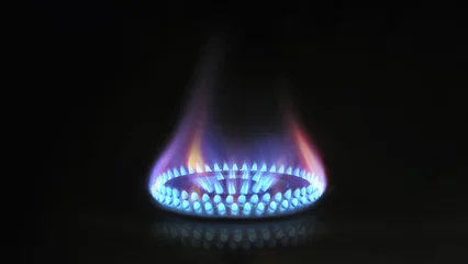 Gordijnen gasoven - oranje tongen van blauwe vlam van een gasbrander © Igor Link