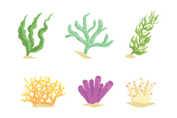 Colorful Coral as Marine Growing Flora from Ocean Bottom Vector Set