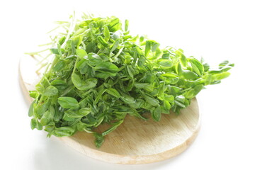 Chinese vegetable, pea sprout on wooden plate