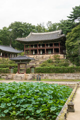 Fototapeta na wymiar nature and antiquity in Korea