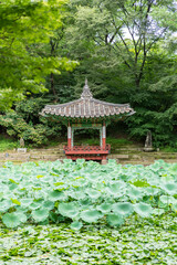 Seoul secret garden Korea