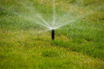 Automatic Garden Sprinkler. Backyard Watering Technology.
