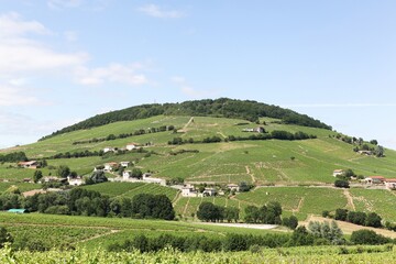 View of Mont Brouilly and vineyards in Beaujolais, France