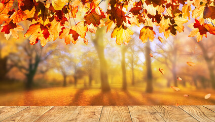 Wooden table with orange leaves autumn background