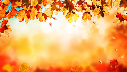 Naklejka na ściany i meble orange fall leaves, autumn natural background