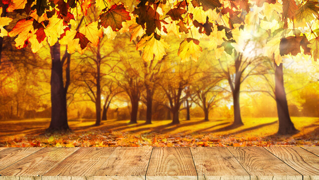Wooden table with orange leaves autumn background