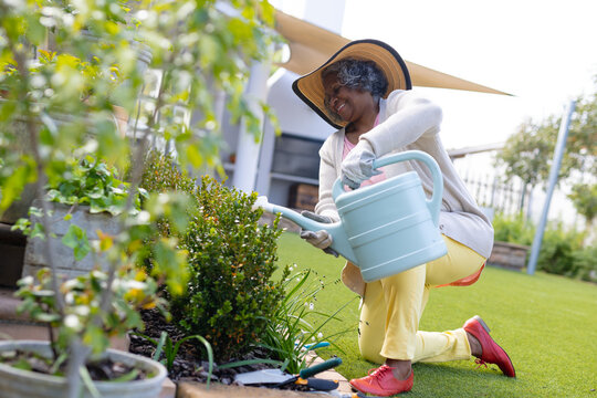 Happy senior african american women wearing hat and watering plants