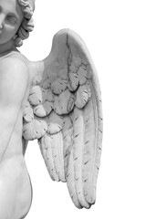 Angel wings isolated on white background with copyspace. Statue of cherub wing close-up
