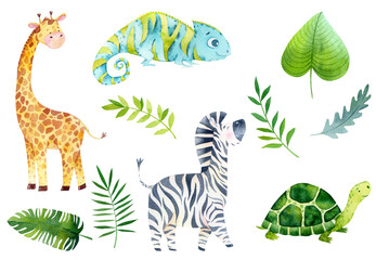 Watercolor baby animal jungle illustration, safari animals. Zebra,  chameleon, giraffe, turtle, wild animal graphic collection. Exotic birds and flowers