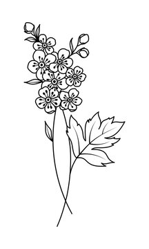 black and white floral branch drawing clip art preview