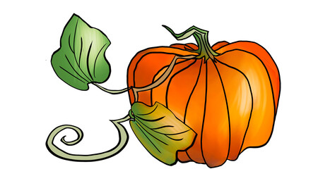 pumpkin with leaves digital artwork illustration