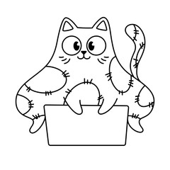 Coloring book. The kitten sits in a box. Linear illustration of a cute cartoon cat. Black and white vector illustration isolated