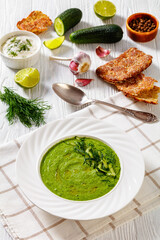 Tarator, summer cold cucumber soup in bowl