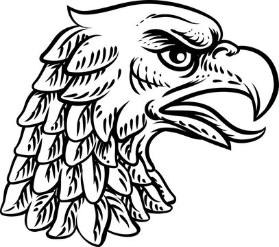Eagle Falcon Hawk Or Phoenix Head Face Mascot