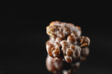 Close-up of a kidney stone. Neoplasm urolithiasis of the kidneys. nephrolithiasis - Closeup shot of a kidney stone renal calculus or nephrolith on black background.