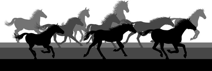 Running Horses Silhouette Herd © Christos Georghiou