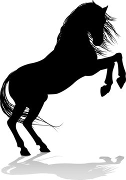 Horse Animal Silhouette