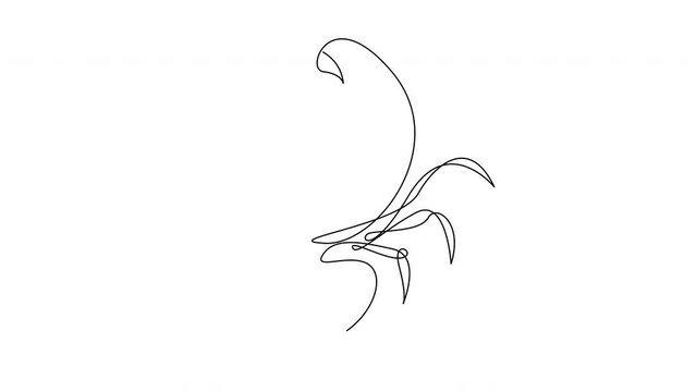 Animated self drawing of continuous line draw deadly scorpion for company logo identity. Lethal arthropod mascot concept for martial art club icon. Full length one line animation illustration.