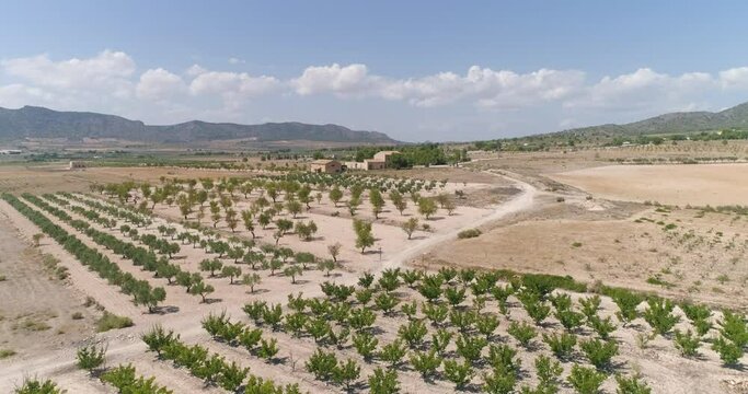 Casa junto a laguna seca  y plantaciones de almendra en desierto desde el aire