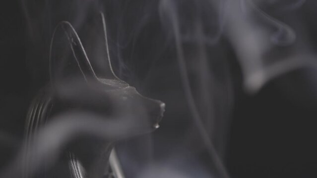stone statue of egyptian god anubis in smoke on black background