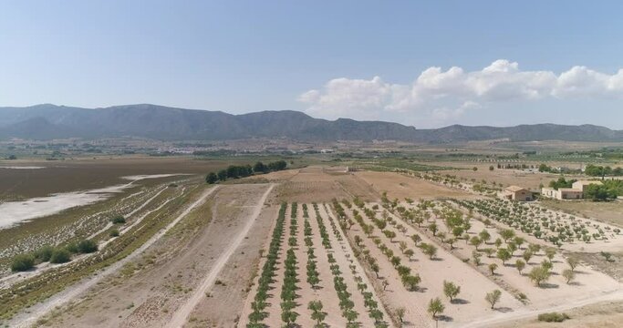 Salina abandonada con cultivos lim&iacute;trofes desde el aire