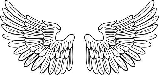 Obraz premium Wings Angel or Eagle Pair