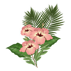 Floral arrangement, exotic flowers and tropical leaves on a white background.Vector illustration can be used for wedding designs, postcards,textiles.