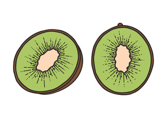 Kiwi - vector illustration in cartoon style. Objects isolated on white background. Vector isolated icon. - 531036850