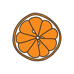 Slice of orange, citrus - vector illustration in cartoon style. Objects isolated on white background. Vector isolated icon. - 531036856