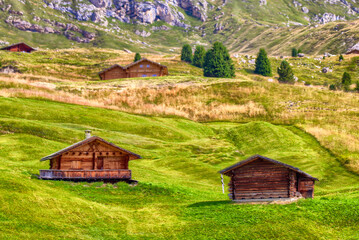 Fototapeta na wymiar Alpine landscape with typical buildings in South Tyrol, Italy
