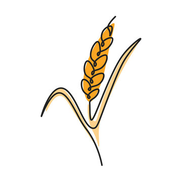 recommend clip art: Continuous line illustration depicting an ear of wheat. Minimalistic image of an ear of wheat
