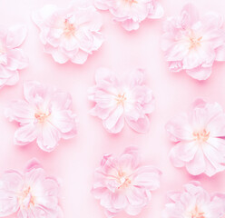 Fototapeta premium Pink tulips blossom pattern on pastel background.