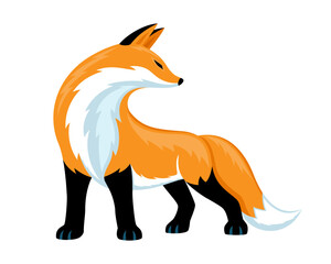 Animal fox standing icon on white background.