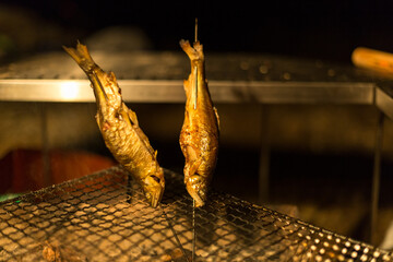 camp　キャンプ　キャンプ飯　パスタ　アウトドア
