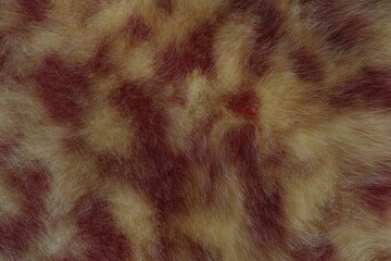 柔らかいふわふわした毛皮の背景