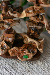 handmade lamps and lamps from sea snags in the interior