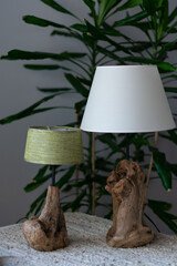 handmade lamps and lamps from sea snags in the interior