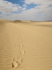 Human foot print on the sand  in Fayoum desert in Egypt