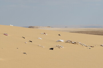 Human trash polluting a beautiful desert scene in Fayoum in Egypt
