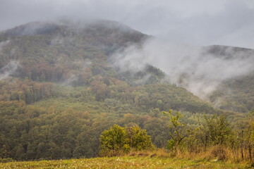 Mountain slope with deciduous forest in fog. Mountain slope on a cloudy overcast morning. Misty mountains in summer. Beautiful cloudy morning in the mountains. Carpathians. Ukraine