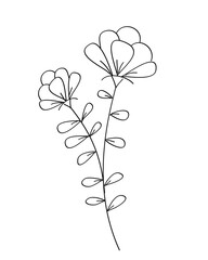 Outline flower with black thin line, floral design element, decorative line art illustration.