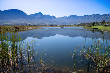 A lake, with water reeds, nestles in a bowl of magnificent mountains and wine lands in a serene valley near Tulbagh in the Western Cape.