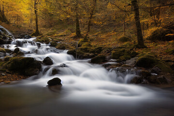 Stream running through yellow fall forest, digital art