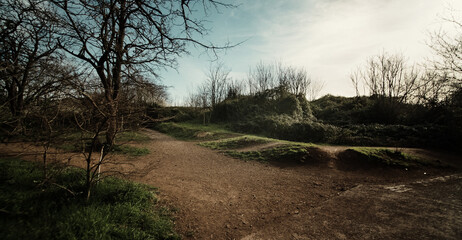 イタリア　公園