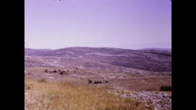 Israel 1975, Panorama of the beautiful rural landscape Wadi Sorek