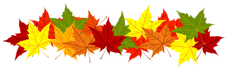 Autumn colorful fallen leaves. Decorative border ornament of bright green yellow orange red dry brown acer leaf. Vector illustration. Fall season. Design element for presentation. Flyer. Poster. Card.