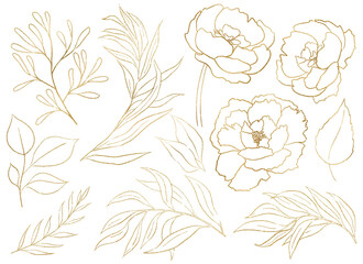 Watercolor golden outline peony flowers and garden leaves illustration element © katrinshine